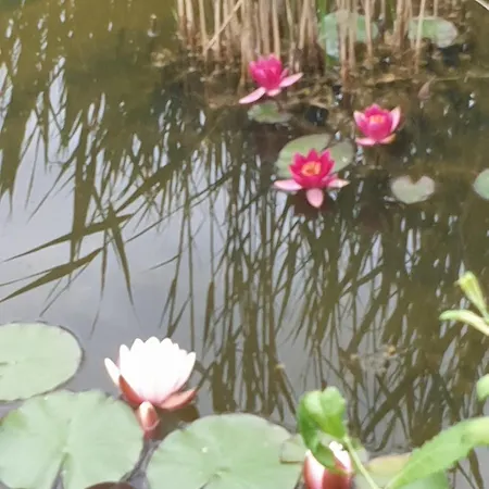 Traum Im Gruenen 키텐도르프